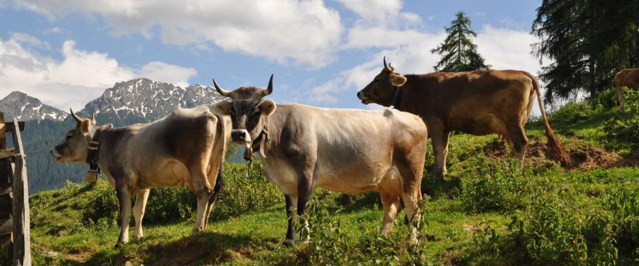 Ferienwohnung Maiernhof Bauernhof Ultental Sankt Pankraz Luaran gambar